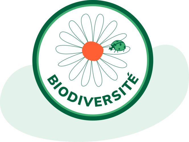 Thématiques Ecogestes et Biodiversité